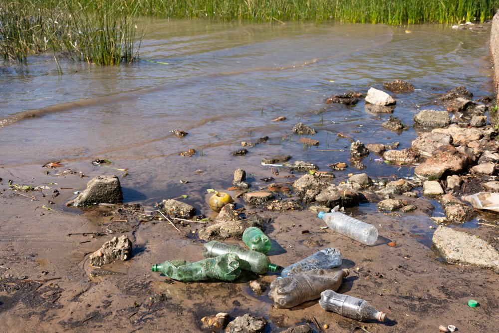 Contaminación del agua y del suelo: Amenaza para los ecosistemas
