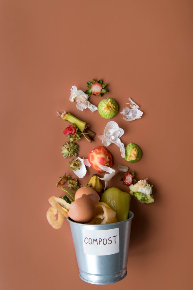 Tipos de Residuos Orgánicos