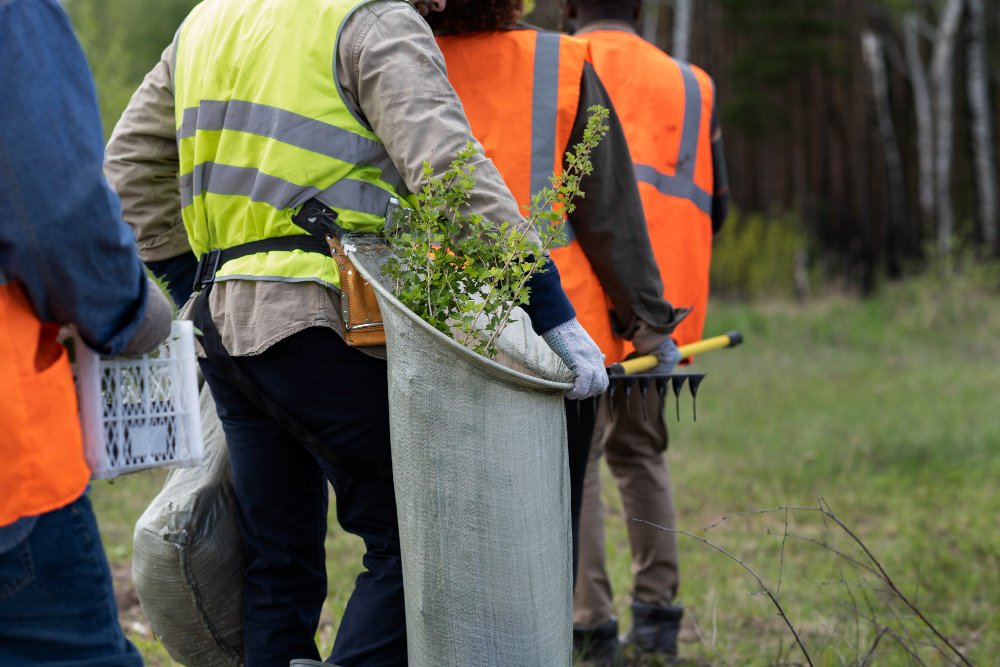 Estrategias para la Conservación de Áreas Verdes