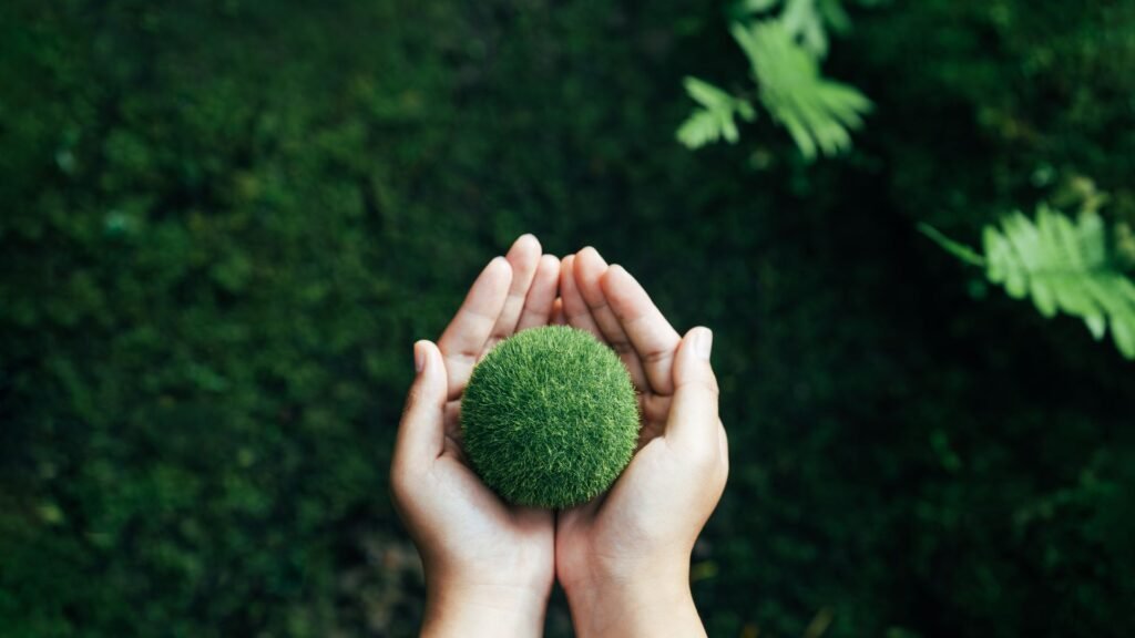 Consejos Prácticos para Reducir Tu Huella de Carbono a través del Reciclaje en Panamá