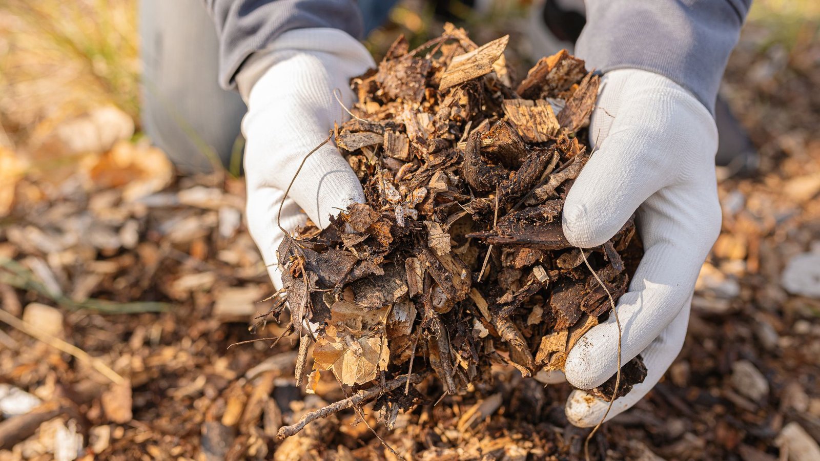 Transformación de Basura Orgánica