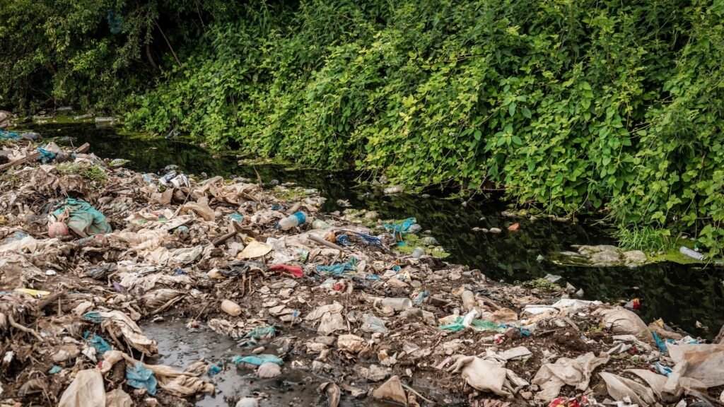 Descubre Qué Basura Es Tóxica y Evítala