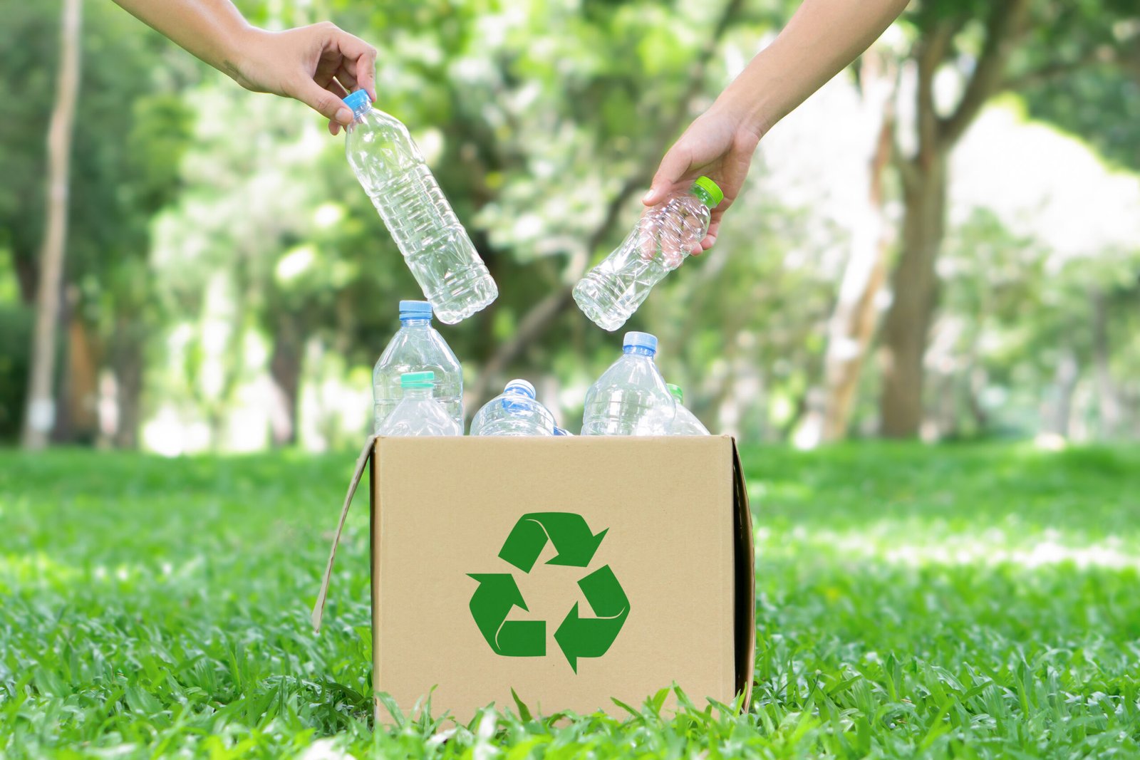 Beneficios del reciclaje Impacto positivo en el medio ambiente, economía y sociedad
