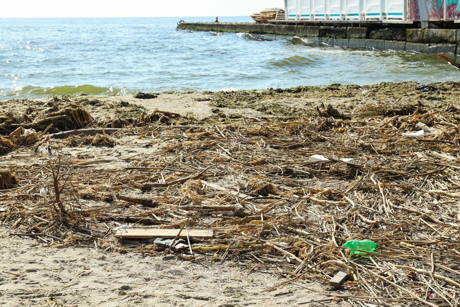 Cómo evitar que la basura llegue al mar: Acciones efectivas