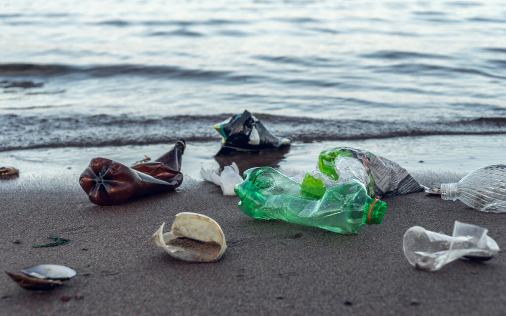 El Problema de la Contaminación Marina