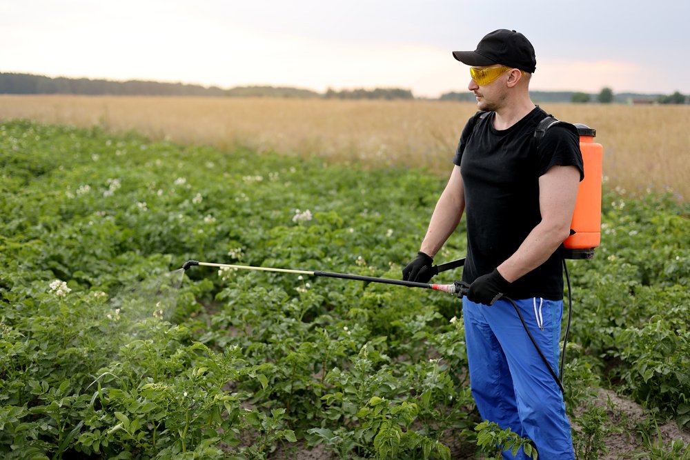 Riesgos de No Destruir Productos Ilegales Impacto Real