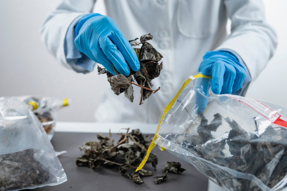 Trazabilidad y Control